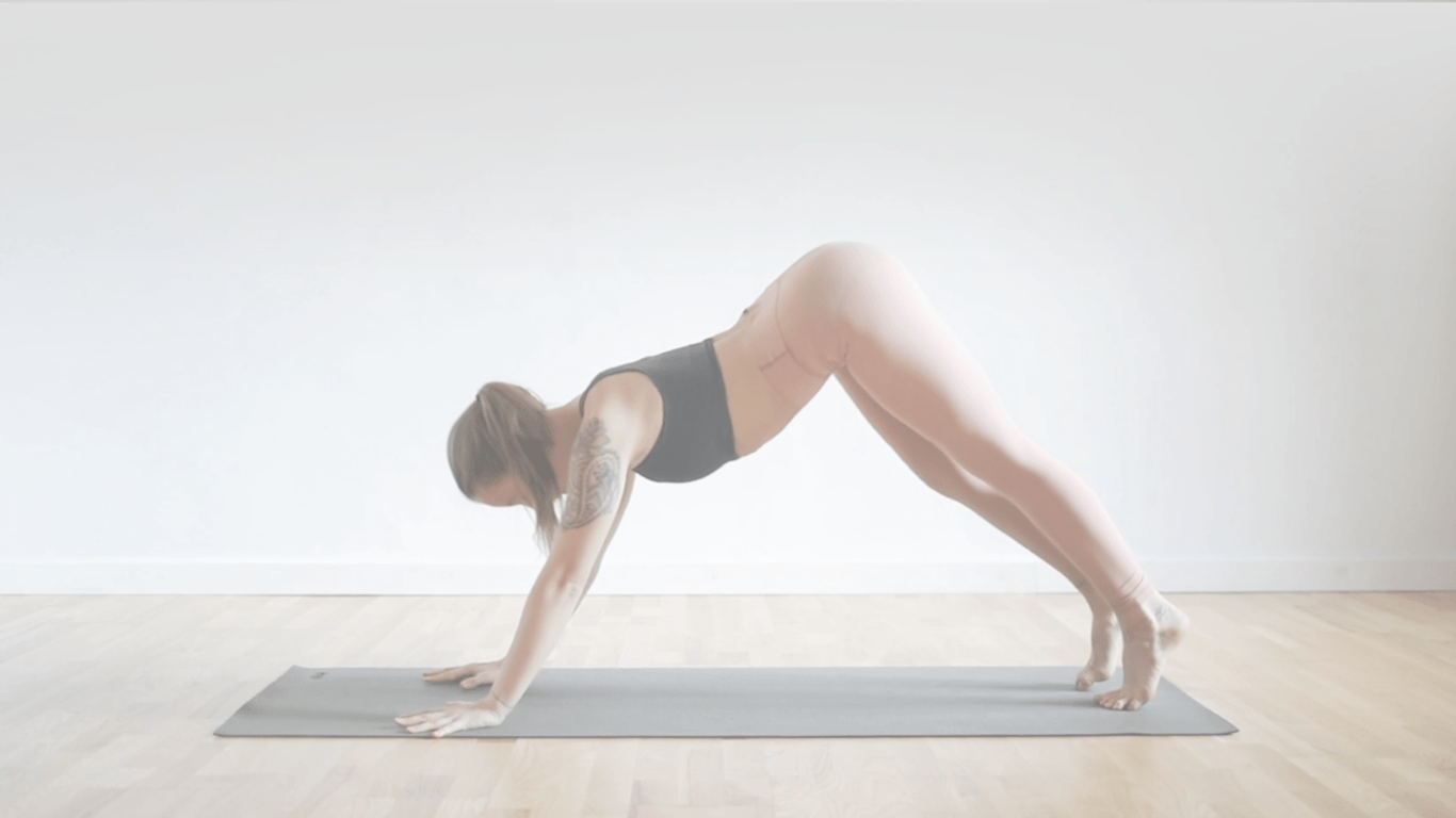 production-ID_3735534png copy